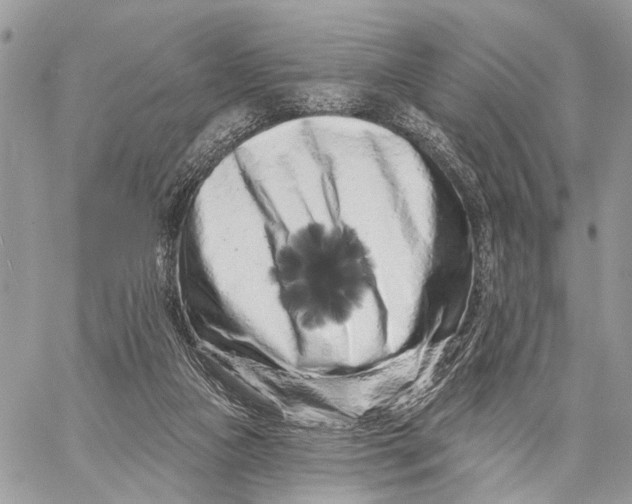 X0000058770161200510211732