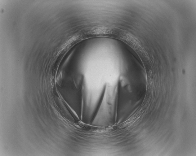 X0000058770164200510211732