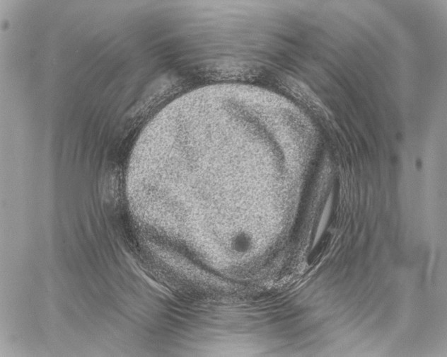 X0000058770165200510211732