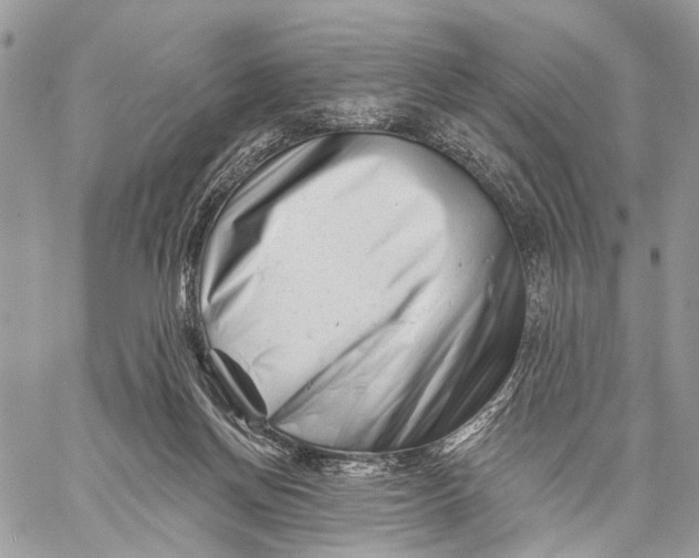 X0000058770166200510211732