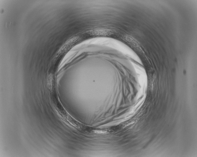 X0000058770167200510211732
