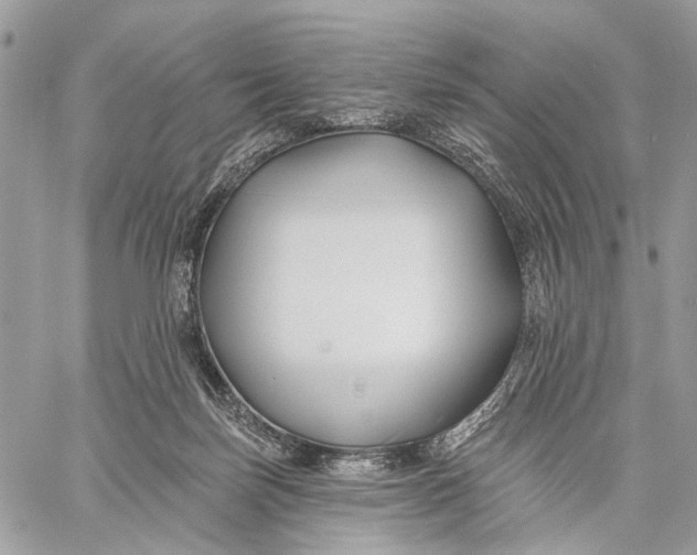 X0000058770171200510211732