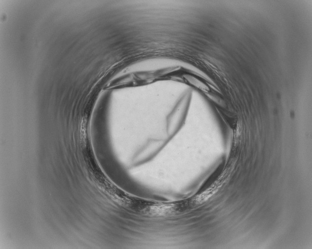 X0000058770172200510211732