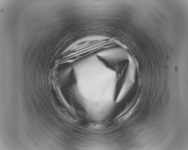 X0000058770174200510211732