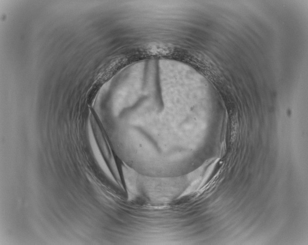 X0000058770176200510211732