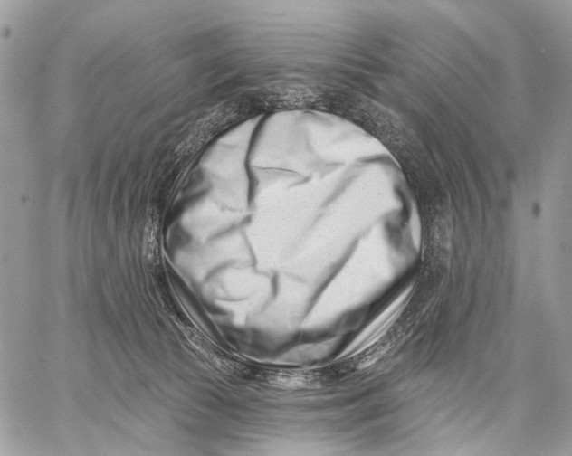 X0000058770177200510211732