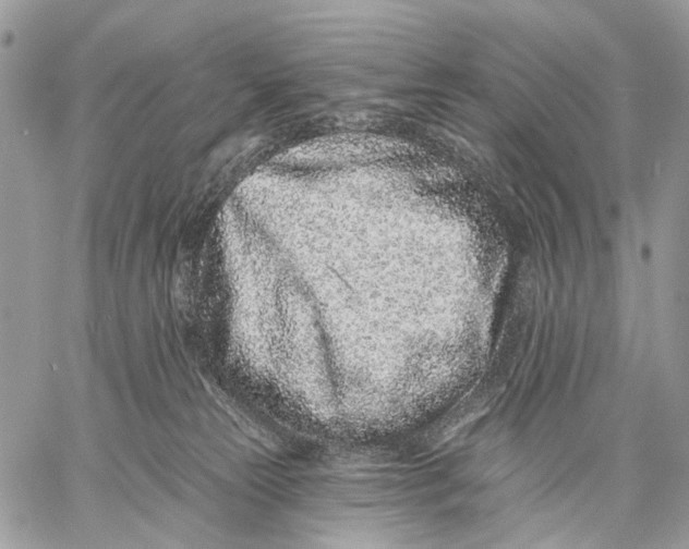 X0000058770181200510211732