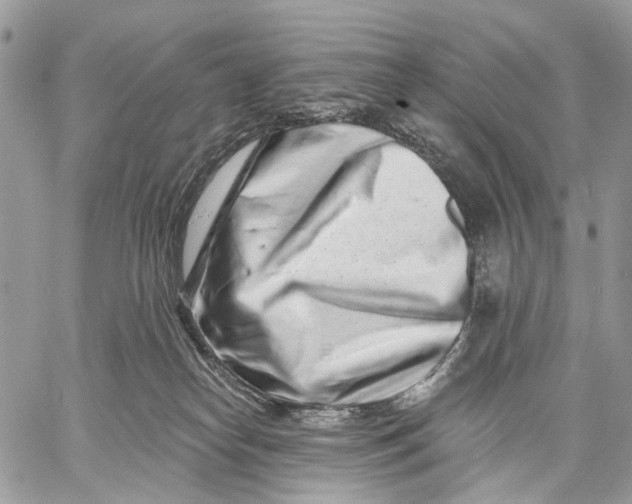 X0000058770182200510211732