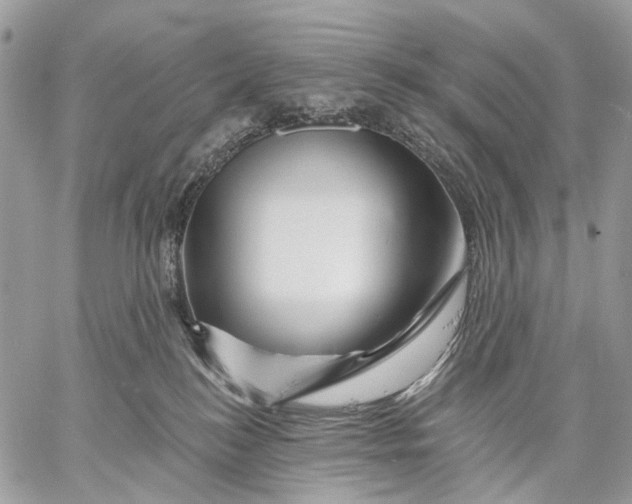 X0000058770184200510211732