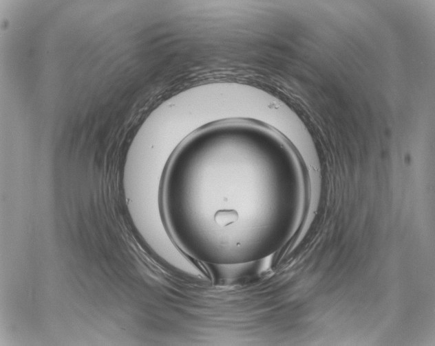 X0000058770185200510211732