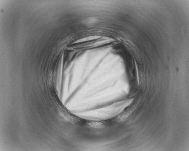 X0000058770189200510211732