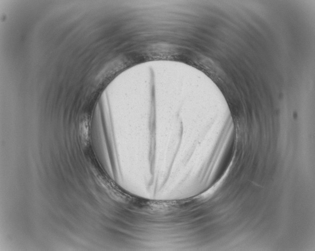 X0000058770190200510211732