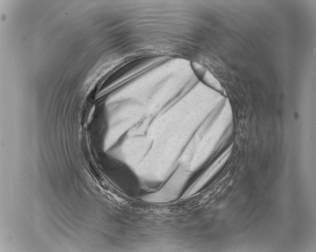 X0000058770194200510211731