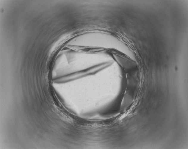 X0000058770197200510211731