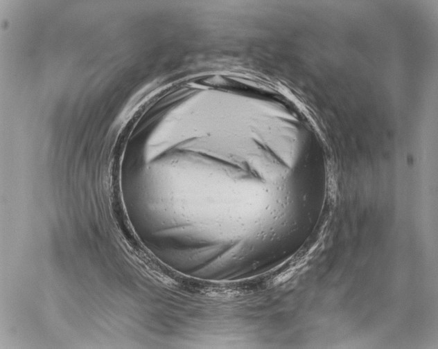 X0000058770199200510211731