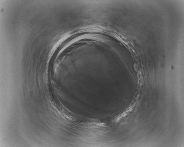X0000058770200200510211731