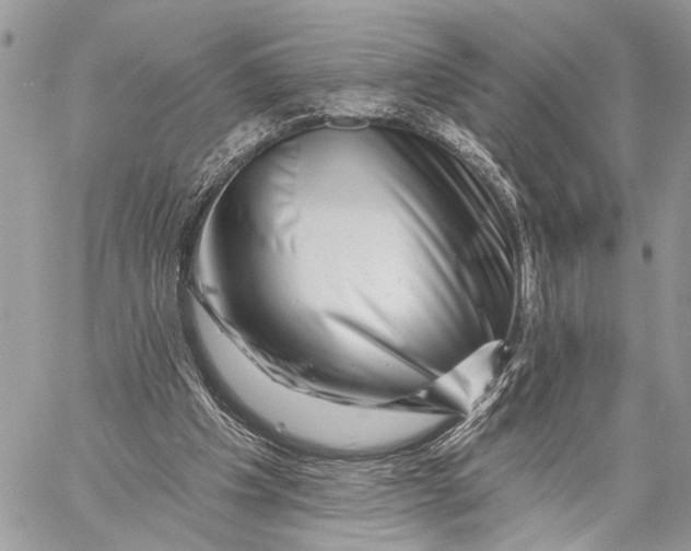 X0000058770201200510211731