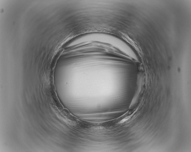 X0000058770203200510211731