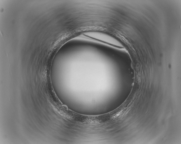 X0000058770207200510211731