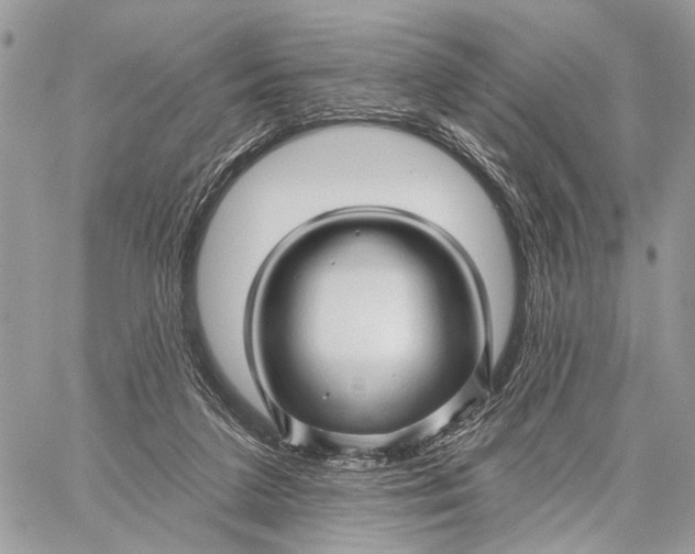 X0000058770211200510211731