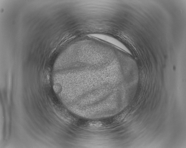 X0000058770214200510211731