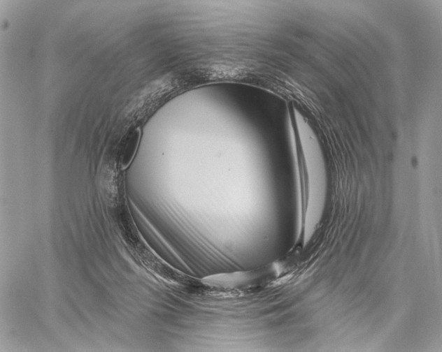 X0000058770215200510211731
