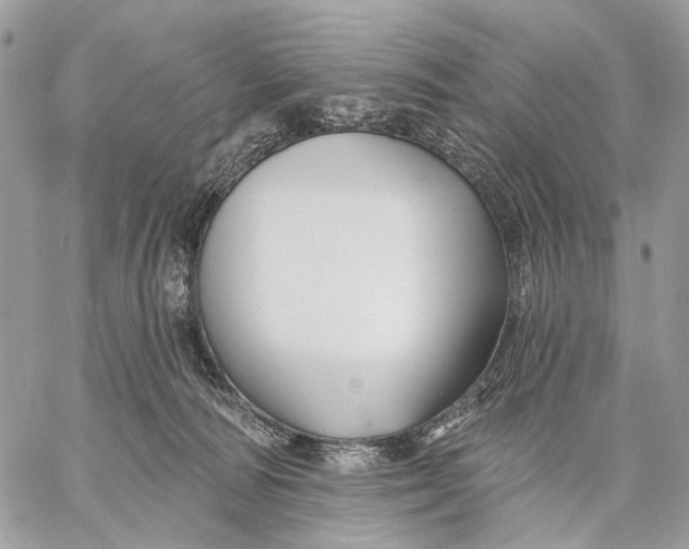 X0000058770226200510211731