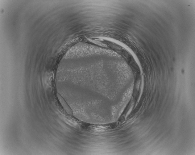 X0000058770229200510211731