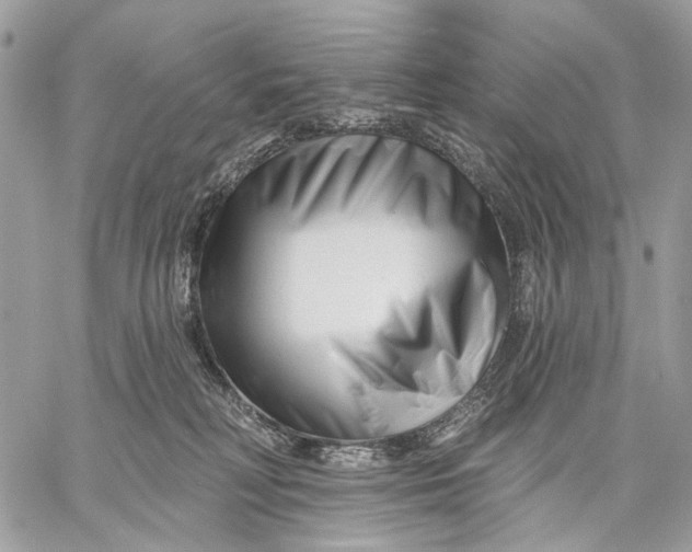 X0000058770230200510211731