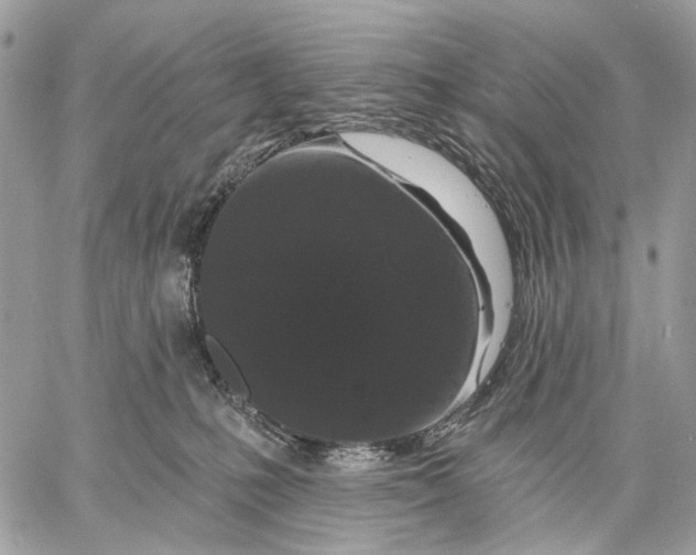 X0000058770231200510211731