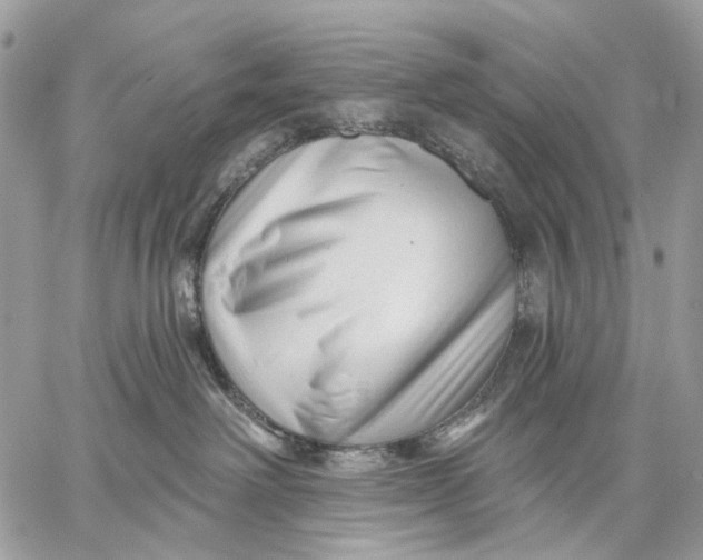 X0000058770238200510211731