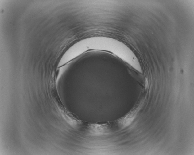 X0000058770239200510211731
