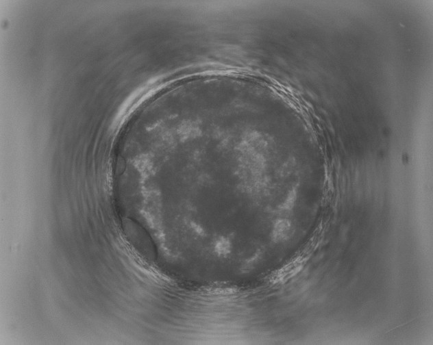 X0000058770247200510211730