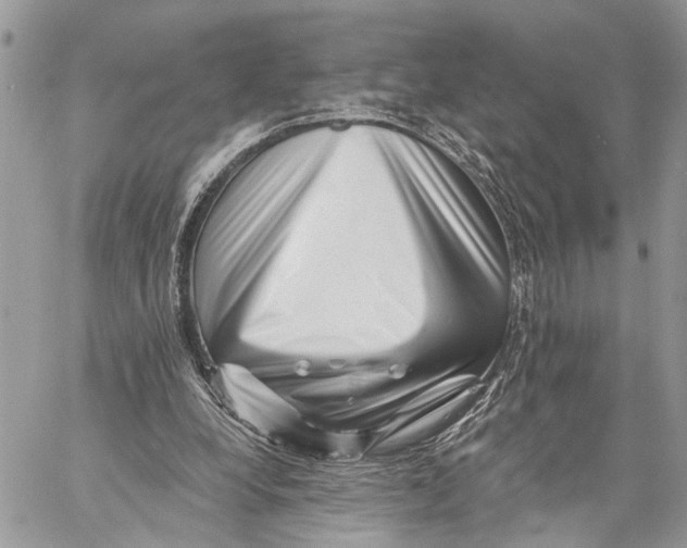 X0000058770248200510211730