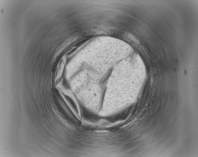 X0000058770250200510211730