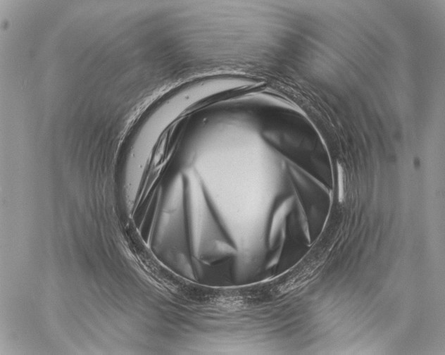 X0000058770252200510211730