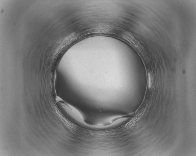 X0000058770253200510211730