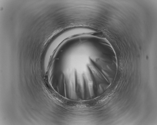 X0000058770256200510211730