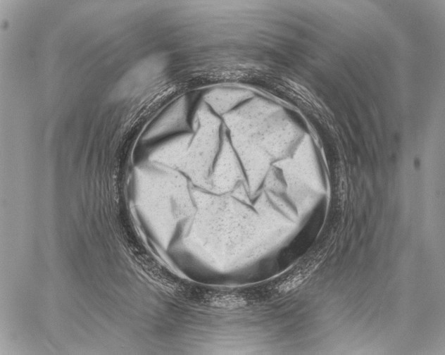 X0000058770258200510211730