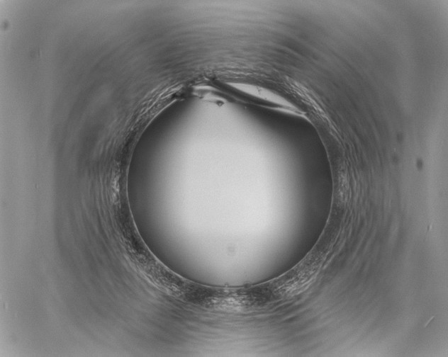 X0000058770259200510211730