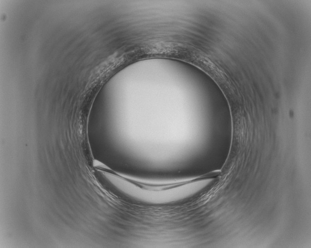 X0000058770261200510211730