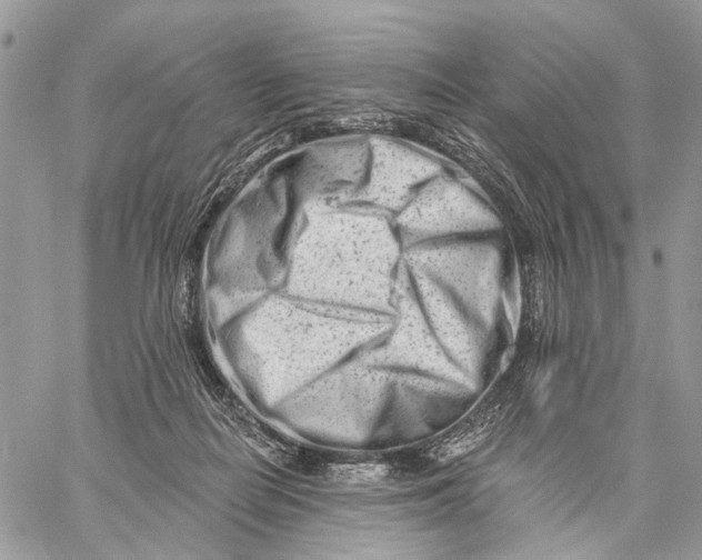 X0000058770266200510211730
