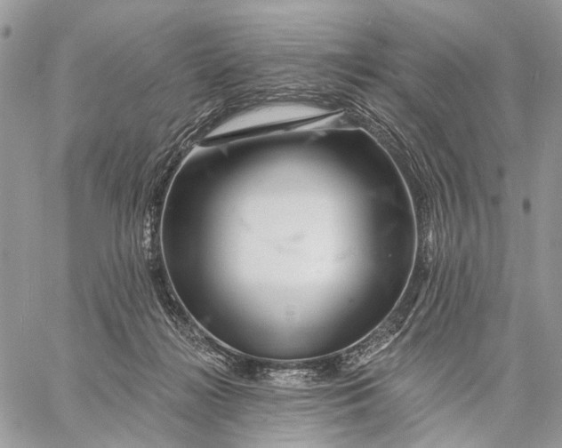 X0000058770268200510211730