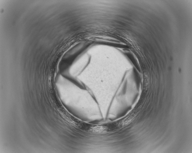 X0000058770269200510211730