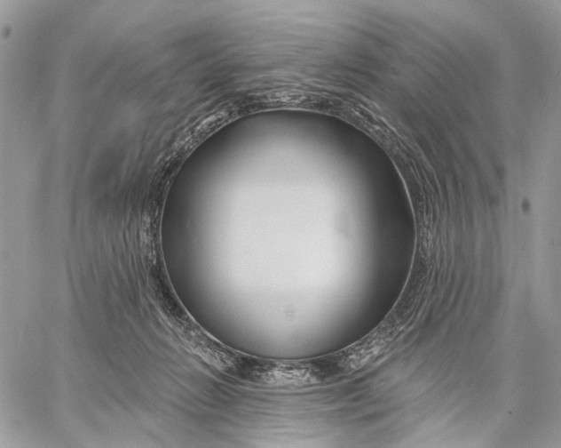 X0000058770270200510211730