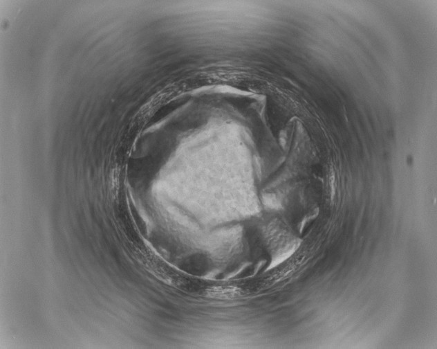 X0000058770271200510211730