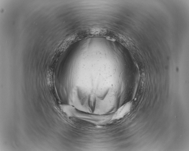 X0000058770272200510211730