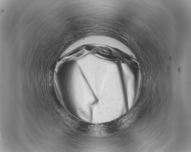 X0000058770273200510211730