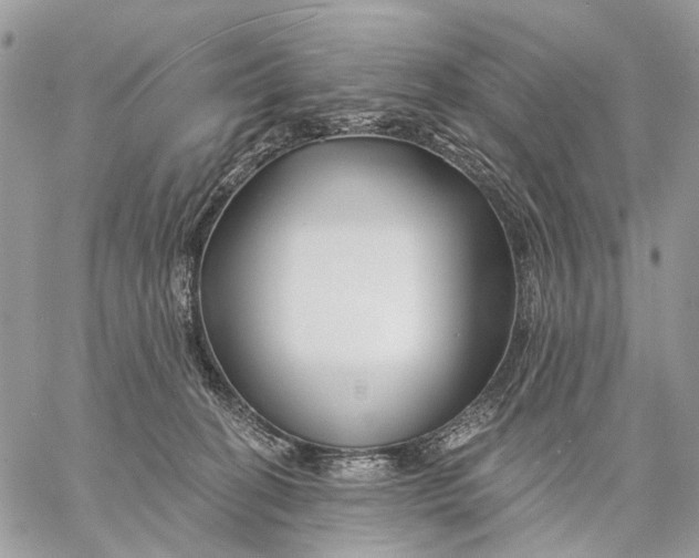 X0000058770274200510211730
