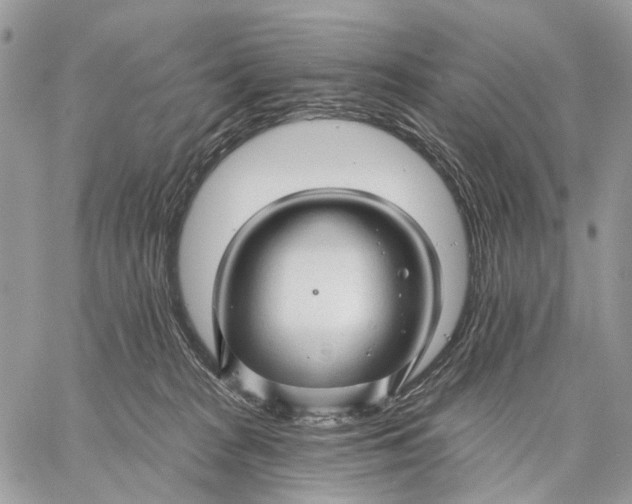 X0000058770277200510211730